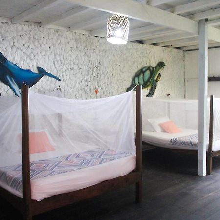 Hotel Refugio Mr Jerry Eco House Bahia Solano Exterior foto